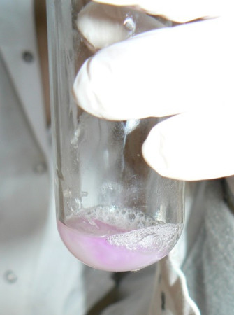 P1890761 (Small).JPG